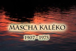 kaleko_webgrafik